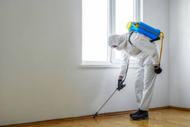 Reliable Oakland, FL Pest Control Solutions