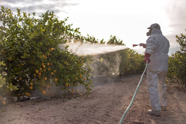 Best Bed Bug Extermination  in Oakland, FL