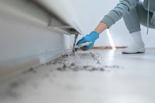 Best Residential Pest Control  in Oakland, FL